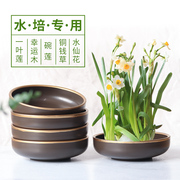 水仙花盆仿陶瓷大号金铜钱(金铜钱)草水培睡莲水，培养植物专用多肉无孔单瓣