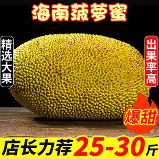 海南菠萝蜜新鲜水果波罗蜜，当季整箱40斤一整个三亚特产红黄心