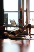 niyamasol美洲狮印花趣味，瑜伽长裤速干中高腰黑色几何健身裤