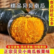 惠和一号贝贝南瓜板栗味老南瓜日本小贝贝南瓜宝宝辅食栗面真贝贝