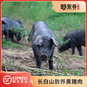 野蛮香东北长白山脉全年散养黑猪肉 整头猪280斤送礼黑猪肉土猪肉