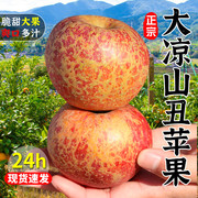 大凉山丑苹果新鲜水果，当季整箱10斤四川盐源红富士，冰糖心苹果