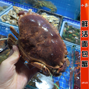 鲜活面包蟹进口野生海鲜，水产珍宝蟹帝王，蟹红膏蟹梭子蟹2斤1只