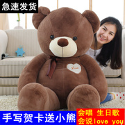 抱抱熊女生大号泰迪熊，公仔熊猫毛绒玩具熊，1.6米狗熊可爱生日礼物