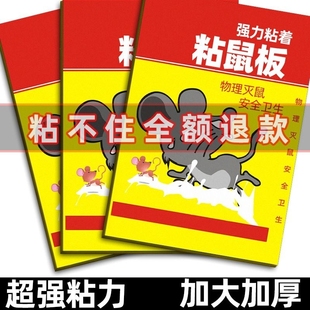 强力加大加厚捕捉抓大老鼠贴夹灭捕鼠笼神器家用一窝端粘鼠板克星