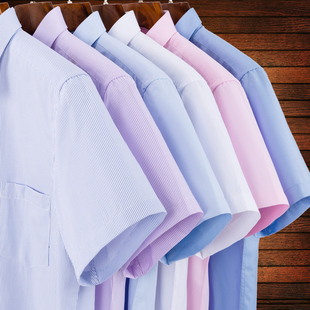 夏季纯棉男士短袖衬衣，商务纯色宽松休闲大码防皱寸衬衫工作装上衣