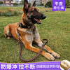 狗狗牵引绳牛皮中大型犬马，犬拉布拉多金毛遛狗绳子，狗链子项圈用品