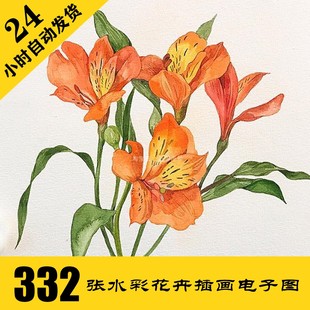 C217 水彩花卉插画电子图332张 手绘植物手绘素材 持续更新