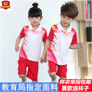 红色短袖套装夏款小学生，校服班服运动会，演出服幼儿园两三件套蓝色