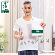 上海菊花牌，42支圆领汗衫夏季薄款中老年，纯棉老头衫文化衫