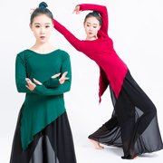 现代舞服装阔腿裤套装舞蹈服女成人古典舞中国舞形体舞蹈练功服装