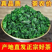 新茶特级铁观音，福建安溪铁观音，清香型茶叶袋装500g