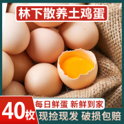 40枚散养土鸡蛋新鲜农村，林下笨鸡蛋，自养草鸡蛋生鸡蛋柴鸡蛋整箱