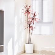 大型仿真绿植狭叶红龙舌兰盆栽假植物千年木室内客厅落地装饰摆件