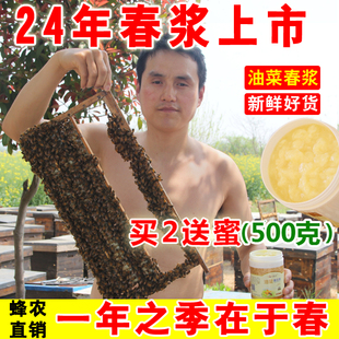 24年油菜春浆 蜂农蜂王浆纯正天然新鲜蜂皇浆500g买2送蜜