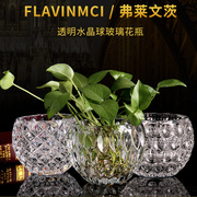 欧式绿萝水培植物透明玻璃花瓶家用客厅，装饰品水养插花器皿摆件