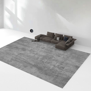 ins风极简地毯客厅灰色，纯色卧室床边高级轻奢地垫素色现代简约