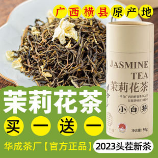 广西横县茉莉花茶特级浓香型2023新茶猴芽小白芽毛尖华成茶厂罐装