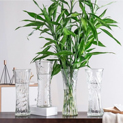 玻璃花瓶透明水养富贵竹百合花瓶，摆件客厅插花干花，北欧家用特大号