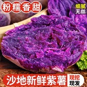 紫薯新鲜地瓜9斤紫罗兰，红薯当季山芋，小香蜜烟薯沙地板栗番薯
