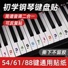 88键61键54键儿童初学入门成人钢琴电子琴简谱音调键盘透明贴纸