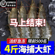 虾鲜活大虾海鲜水产超大活虾对虾海虾青虾鲜虾青岛大虾4斤基围虾