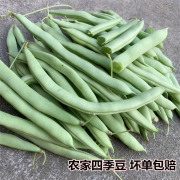 四季豆新鲜蔬菜安徽六安农家现摘豆角青豆角嫩芸豆500g时令蔬菜