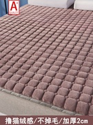 床垫水晶绒床垫冬季保暖加厚牛奶绒，床褥2.2m珊瑚绒防滑垫被可折叠