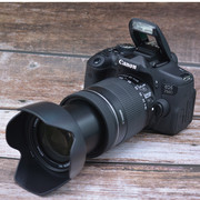 canon佳能eos750d专业高清旅游摄像单反，照相机wifi70d760d80d
