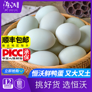 浙江产区品质更硬 现产现发新鲜个大土鸭蛋