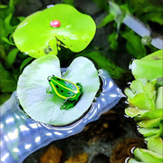 玻璃小青蛙可爱迷你工艺品摆设，家居水族箱鱼缸微景观造景装饰品