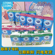 越南进口荷兰子母奶170ml48盒甜牛奶草莓 原味哒露奇含乳饮品