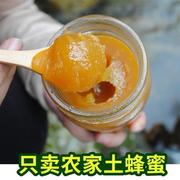 秦岭深山土蜂蜜纯正孕妇农家，自产结晶野生百花液态儿童蜜500g