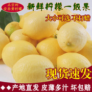 黄柠檬新鲜水果一级不打蜡有坏包赔净重9斤皮薄多汁安岳柠檬
