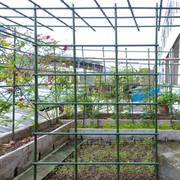 阳台种菜架子园艺花架爬藤支架，豆角黄瓜葡萄庭院户外蔬菜架种植