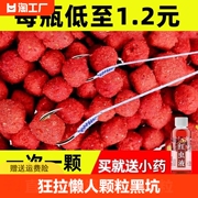 野钓者大师鱼饵料懒人颗粒鲫鱼鲤鱼草鱼钓鱼饵料黑坑鱼食溪流