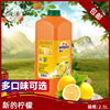 新的浓缩果汁冲饮商用sunquick柠檬草莓芒果菠萝，2.5l餐饮奶茶原料