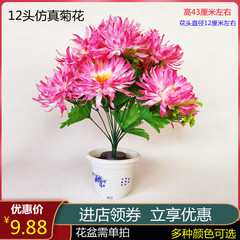 清明节扫墓花墓前花祭祀用品祭拜花圈上坟花塑料仿真假菊花束摆放