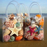 贝壳海螺海星摆件鱼缸，水族箱地台橱窗造景儿童玩具，手工小礼物天然