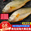 黄花鱼新鲜冷冻特大黄鱼鲜活深海鱼冰鲜超大整箱海鲜水产4斤
