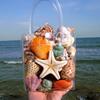贝壳海螺海星套餐鱼缸，水族箱地台橱窗造景摆件儿童，玩具生日小礼物
