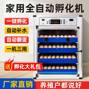 孵化器中小型家用孵化机芦丁鸡小鸡全自动孵蛋器智能鸡蛋孵化箱