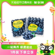 怡颗莓新鲜水果云南蓝莓，125g*4盒6盒中果大果酸甜