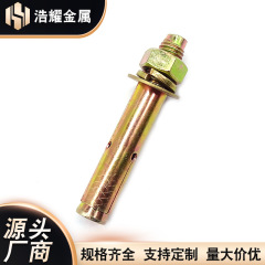 带孔蓬胀螺丝g 彩锌蓬胀螺丝膨胀螺丝 带孔膨胀螺丝拉爆膨胀螺丝