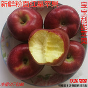 山西隰县红星苹果现摘新鲜粉面沙，苹果宝宝老人吃的婴儿刮泥水果