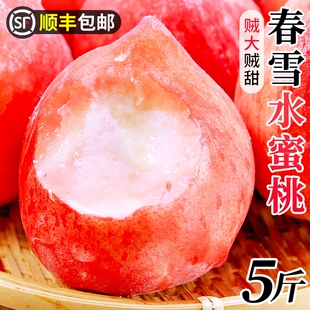 现摘春雪水蜜桃5斤特大果当季时令整箱孕妇，桃子脆甜新鲜水果