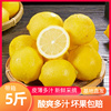 四川安岳正宗黄柠檬(黄柠檬)新鲜水果5斤皮薄一级香水柠檬，新鲜奶(新鲜奶)茶店专用