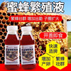 蜜蜂繁殖液营养液喂蜂养蜂花粉，中蜂代用花粉，浆强蜂液蜂蜜催产饲料