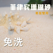 天然免洗菲律宾珊瑚砂寄居蟹垫材底沙鱼缸造景底沙贝壳砂珊瑚沙