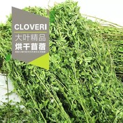 紫花苜蓿草2021新草天然烘干苜蓿草幼兔龙猫，豚鼠1kg宠物粮草